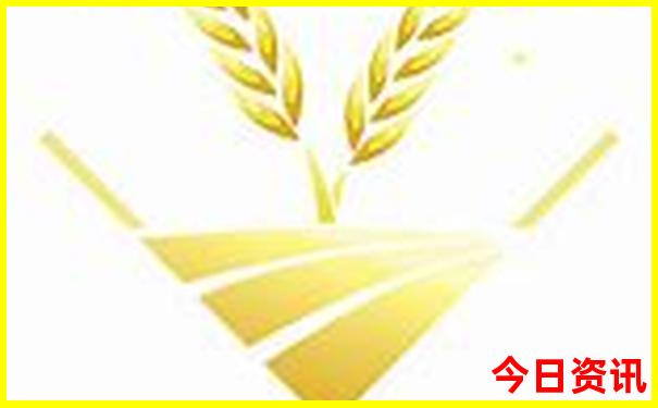 深圳哪里好玩景点排名